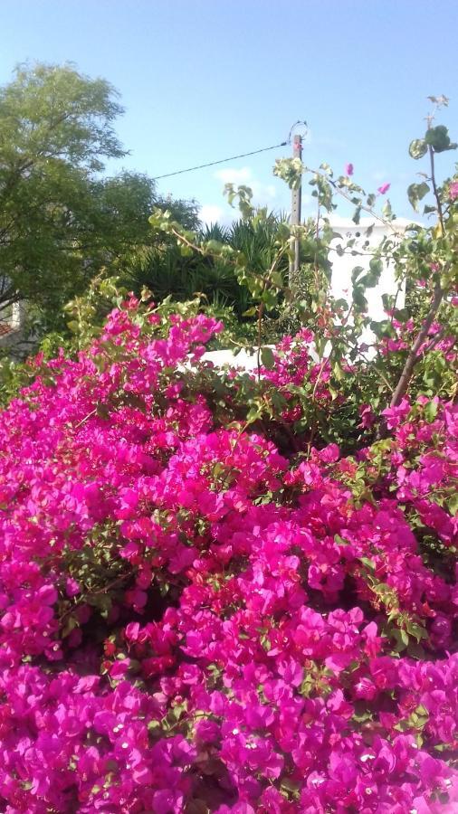 Bed and Breakfast Pensao Algarve Сан-Браш-де-Алпортел Екстер'єр фото